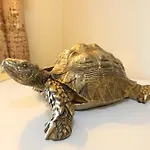 Appartement Haus Lotsenberg Whg C13 Mit Balkon